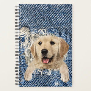 Golden Retriever dans Denim Hole
