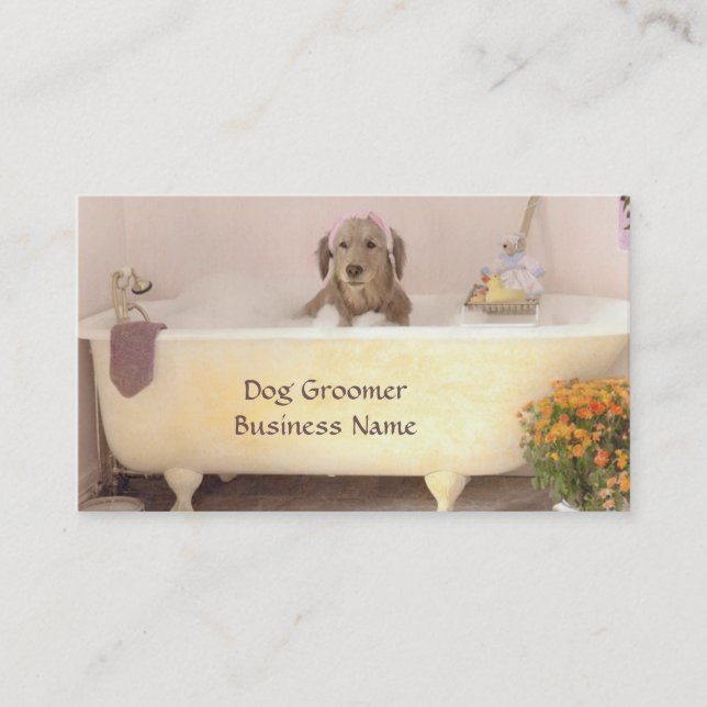 Golden retriever dans le carte de visite de (Devant)