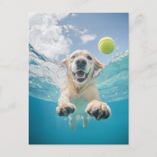 Golden Retriever Diving Tennis Ball Underwater Postcard (Front)
