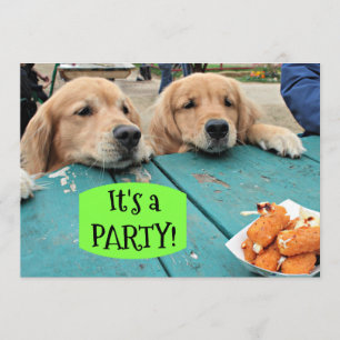 Golden Retriever Dog C'est une invitation de fête