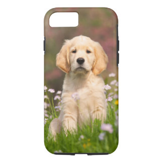 protective golden retriever golden retriever iphone cases golden retriever cases for the iphone 5 4 3 protective golden retriever golden retriever iphone cases golden retriever cases for the iphone 5 4 3