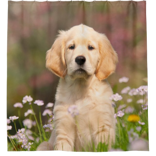 Golden Retriever Dog Cute Goldie Puppy, Tub (Front)