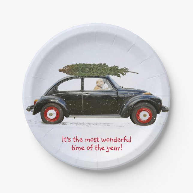 Golden retriever dog driving old car with tree paper plate (Front)