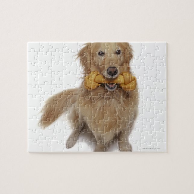 Golden Retriever Dog holding bone in mouth Jigsaw Puzzle (Horizontal)