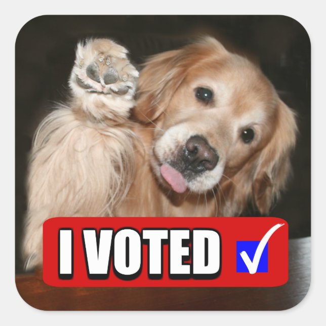 Golden Retriever Dog I Voted Election Day Square Sticker (Front)