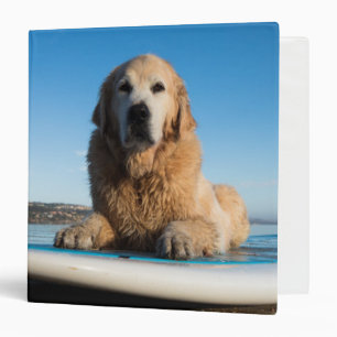 Golden Retriever Dog Laying On A Paddle Board Binder