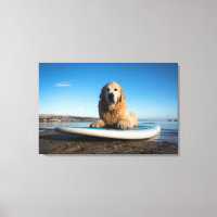 Golden Retriever Dog  Laying On A Paddle Board