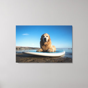 Golden Retriever Dog  Laying On A Paddle Board Canvas Print