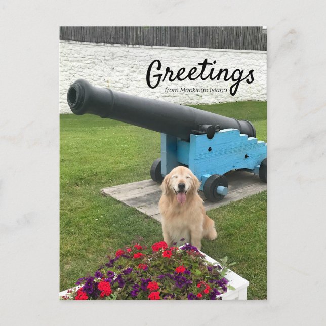 Golden Retriever Dog Mackinac Island Travel Postcard (Front)