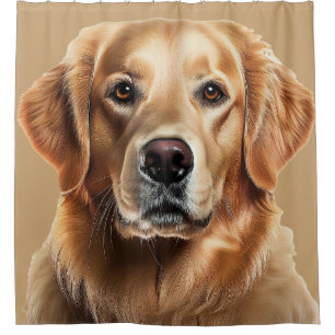 Golden Retriever Dog on