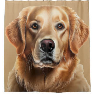 Golden Retriever Dog on