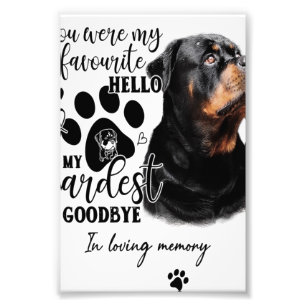 Golden Retriever Dog Owner Birthday Gift Dog Quote Photo Print