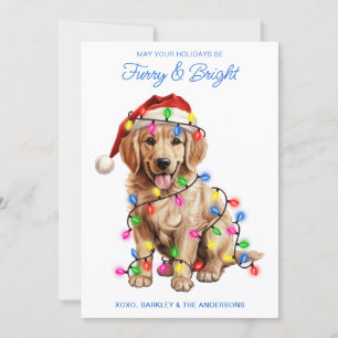 Golden Retriever Dog Personalized Furry & Bright  Holiday Card