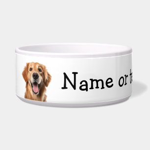 Golden Retriever  Dog Pet Animal