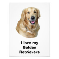 Golden Retriever dog photo portrait