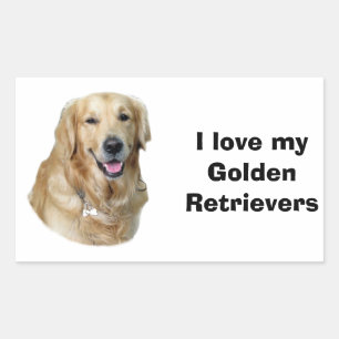 Golden Retriever dog photo portrait Sticker
