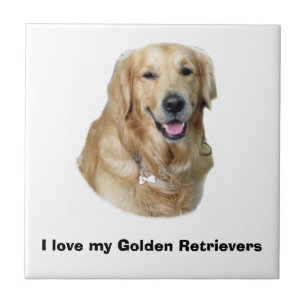 Golden Retriever dog photo portrait Tile