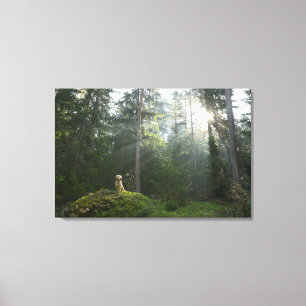Golden Retriever Dog   Pine Woodland Canvas Print