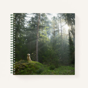 Golden Retriever Dog   Pine Woodland Notebook