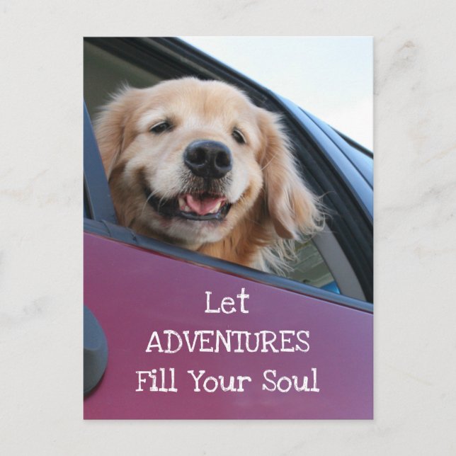 Golden Retriever Dog Safe Travel Adventures Postcard (Front)