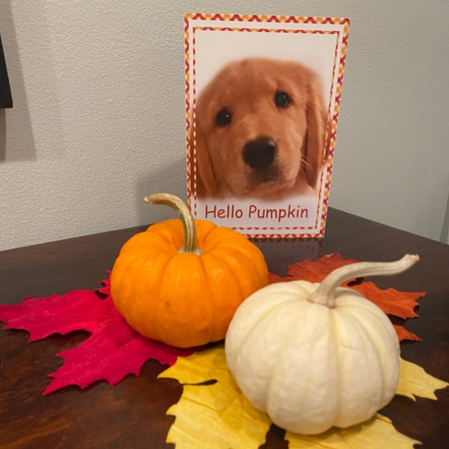 Golden Retriever Dog Thanksgiving Hello Card (Creator Uploaded)