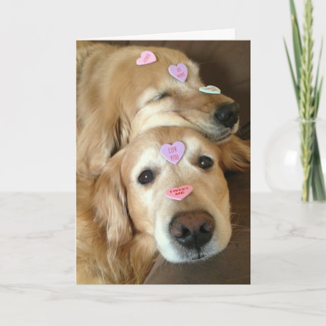 Golden Retriever Dog Valentine Conversation Hearts Holiday Card (Front)
