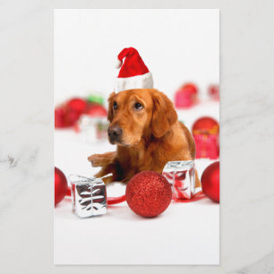 Golden Retriever Dog W Red Santa Hat Christmas