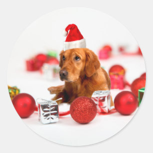 Golden Retriever Dog W Red Santa Hat Christmas Classic Round Sticker