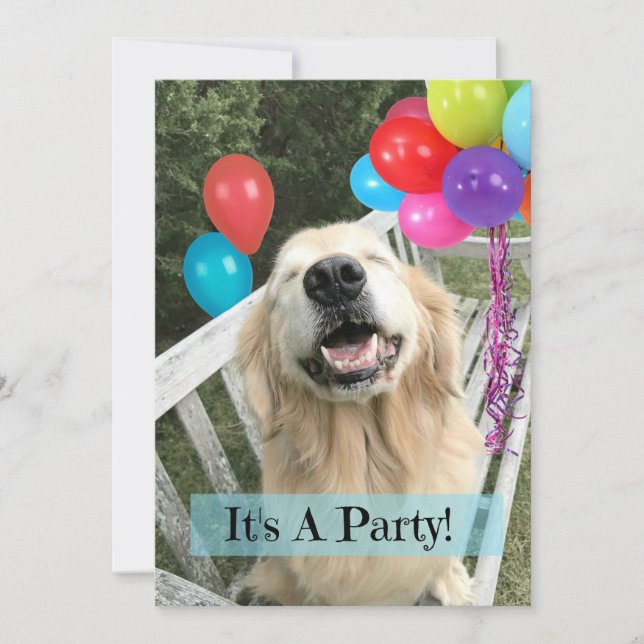 Golden Retriever Dog With Balloons Custom Birthday Invitation (Front)