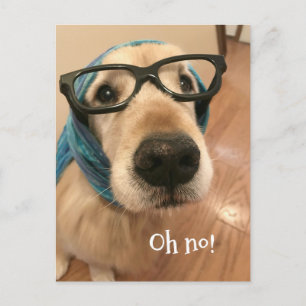 Golden Retriever Dog With Glasses Belated Birthday Postcard