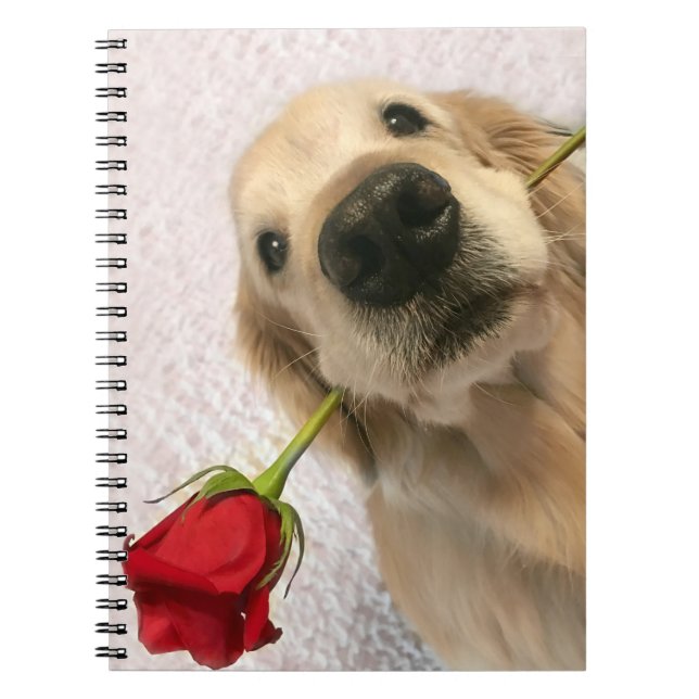Golden Retriever Dog With Red Rose Notebook (Front)