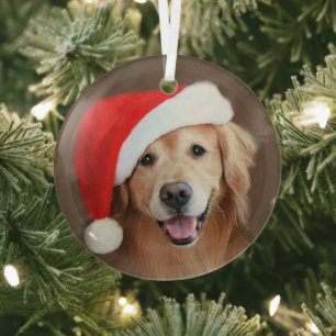 Golden Retriever Dog With Red Santa Hat Glass Orna Ornament