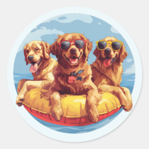 Golden Retriever Dogs Summer Pool Floaties Classic Round Sticker
