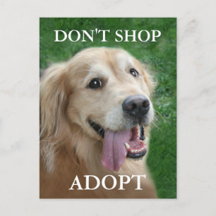 Golden Retriever Don't Shop Adopt Rescue Postcard