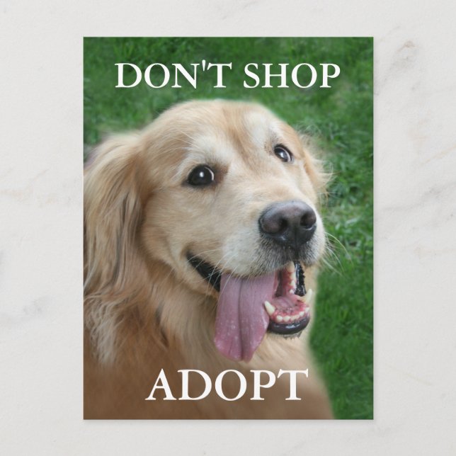 Golden Retriever Don't Shop Adopt Rescue Postcard (Front)