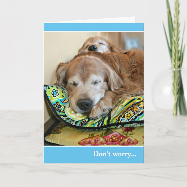 Golden Retriever Dont Worry Theres A Nap For That Card (Front)