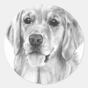 Golden Retriever Drawing Stickers