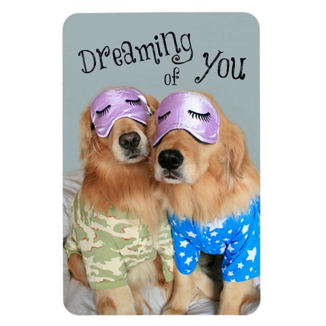Golden Retriever Dreaming of You Magnet (Vertical)