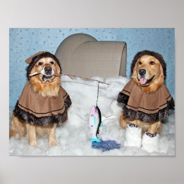Golden Retriever Eskimos Poster (Front)