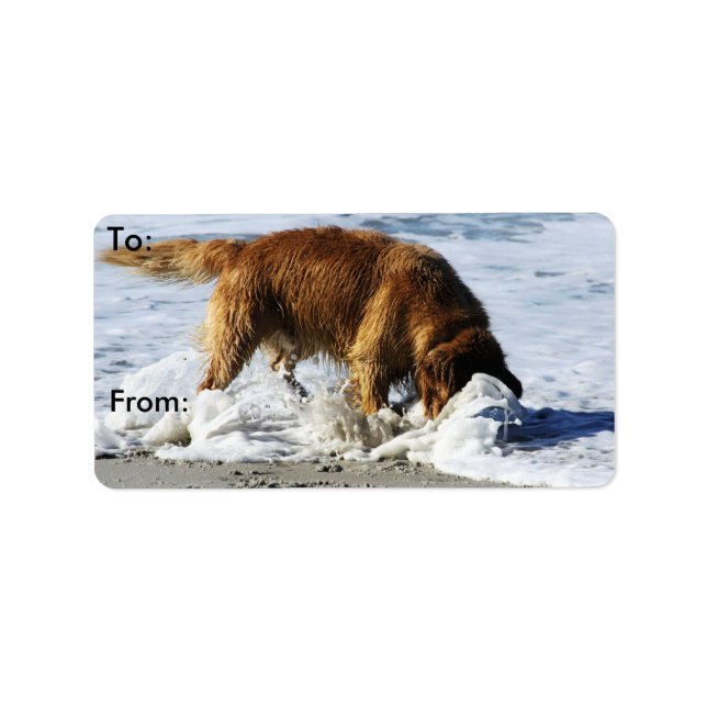 Golden Retriever EVERYBODY STOP! I Lost My Contact Label (Front)