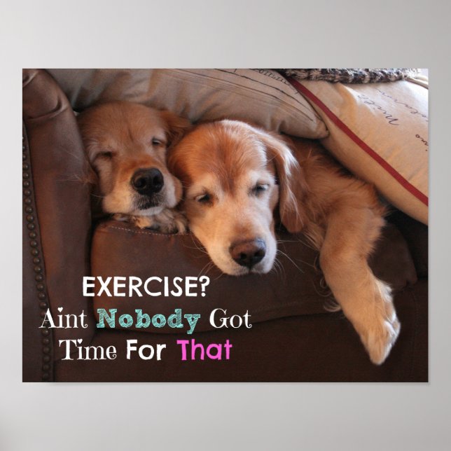 Golden Retriever Exercise Demotivational Poster (Front)