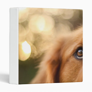 Golden Retriever Eye Closeup Binder