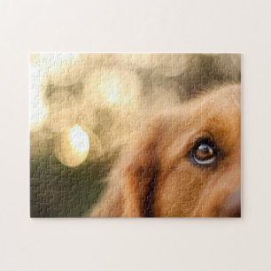 Golden Retriever Eye Closeup Jigsaw Puzzle