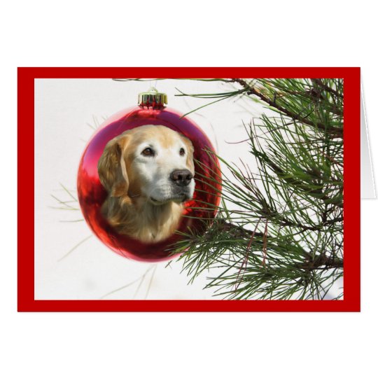 Golden Retriever Fabulous Face Christmas Card