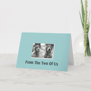 Golden Retriever From the 2 of us Birthday Card