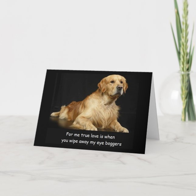 Golden Retriever Funny carte d'anniversaire (Devant)