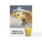 Golden Retriever Get Well Card