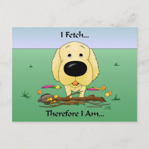 Golden Retriever(Goldens) I Fetch..Postcard Postcard