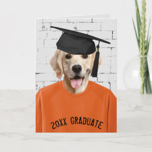 golden retriever graduate with cap card