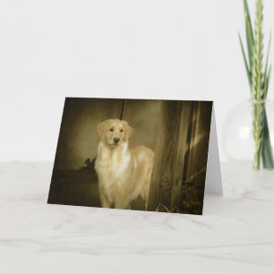 Golden Retriever Greeting Card Lady In Waiting